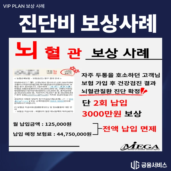뇌혈관질환 진단비 보상사례 자료